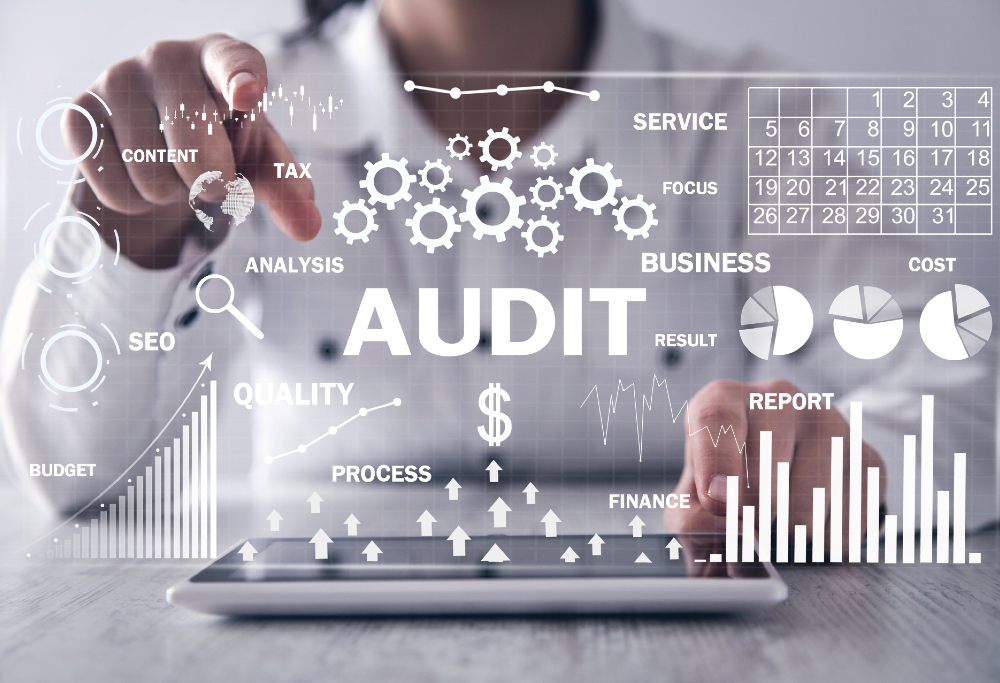 Digitalization and Innovation in Auditing Solutions